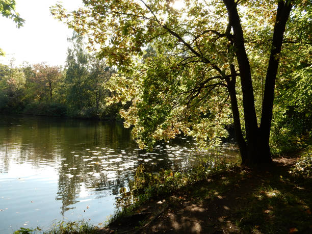 istock early autumn on the lake 1277912192
