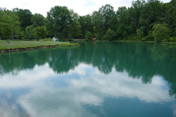 istock Idyllic lake scene with forest trees and cloudscape reflected in water 1277916663