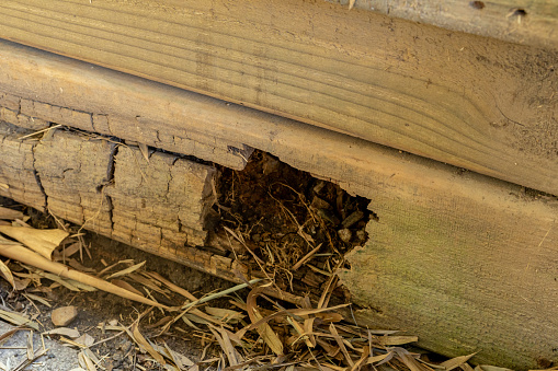 Insect hotel Bee hotel with small tubes