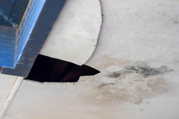 Broken roof sheeting under underside of roof