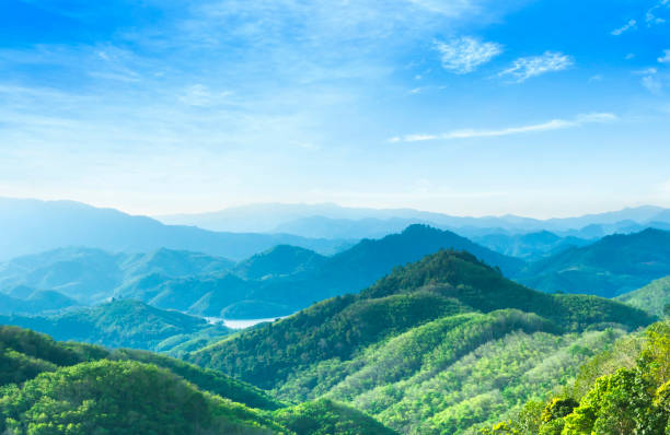 istock World Environment Day concept: Panoramic view of mountain range covered by forest with blue sky 1277921857