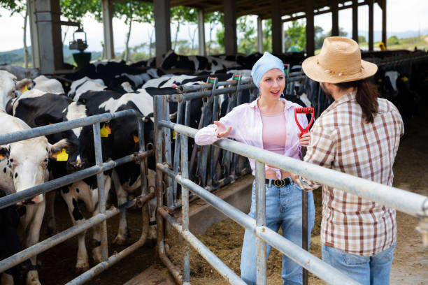 istock Farm family communicating near cowshed 1277930917