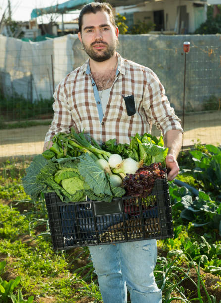 istock Gardener with harvested greens 1277930951
