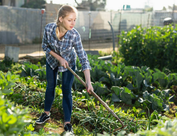 istock Woman hoeing in garden 1277930956