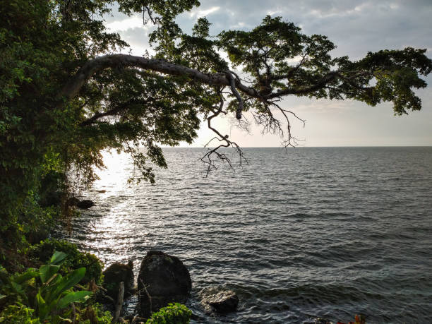 istock Visit to Lake Victoria in Kenya 1277932306