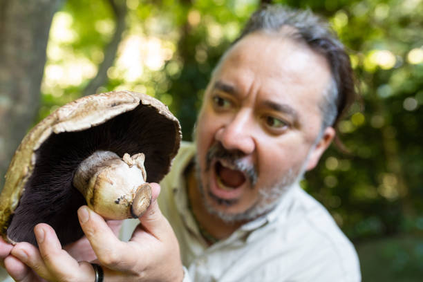 A man looking at and surprised by the size of a big Mushroom found in the forest.