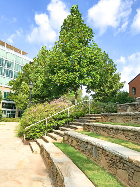 istock Scenic Stairway With Foliage 1277938994