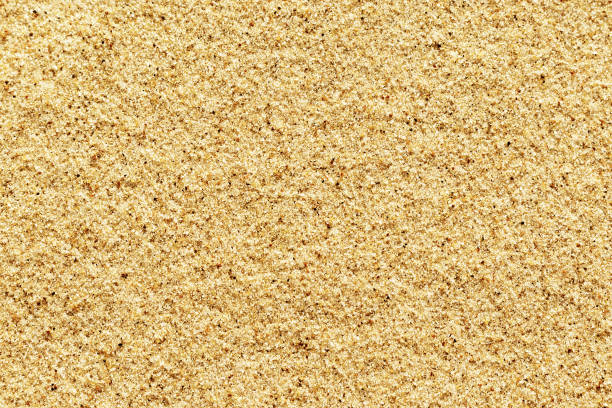 istock Top view on sand dunes. The texture of sand 1277942065