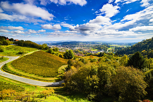Landscape of vineyards grape and town with green hills in Austria