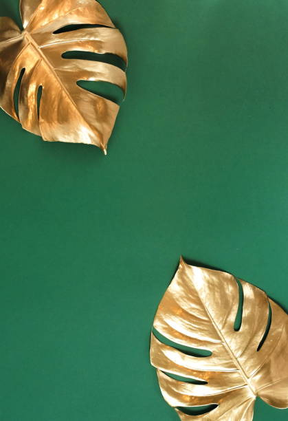 istock Gold monstera leaves frame on a green  background  top view.  copy space. abstract poster. 1277946298