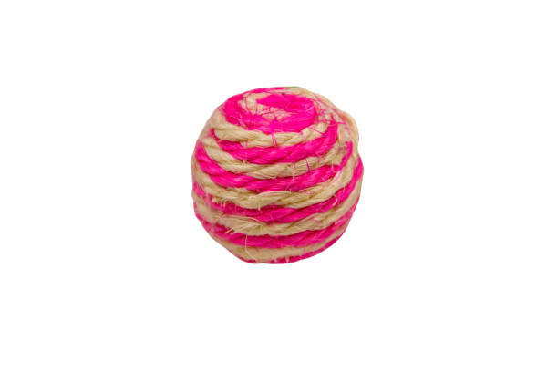 istock Toy ball for pet isolated on white background 1277947993