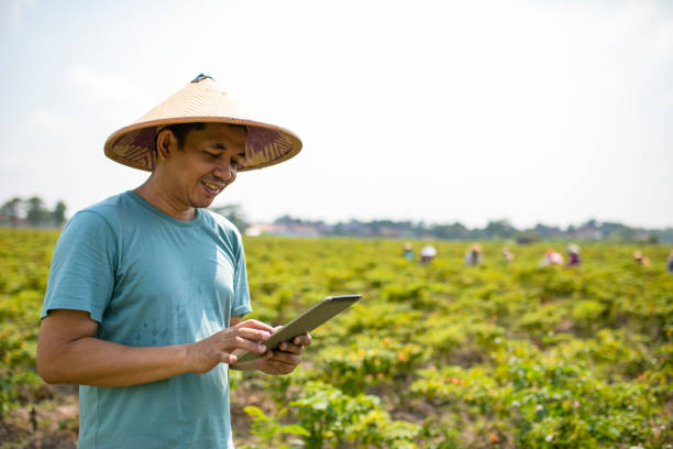 istock asian farmer using digital tablet when calculating his farm production in the chili field 1277952949