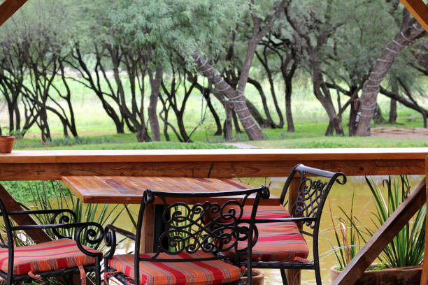 mesa de jardín y silla con sombrilla al aire libre en el bosque y el lago - patio wood formal garden deck fotografías e imágenes de stock