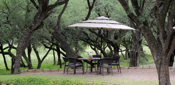 mesa de jardín y silla con sombrilla al aire libre en el bosque y el lago - patio wood formal garden deck fotografías e imágenes de stock