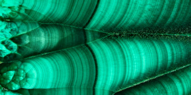 istock The green malachite. An ornamental stone. Photo texture. Macro. 1277961139