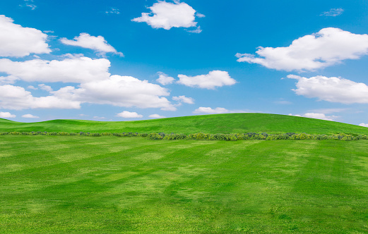 green field and blue sky with light clouds,Image of green grass field and bright blue sky. Plain landscape background for summer poster. The best view for holiday.