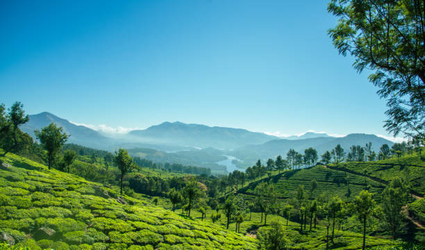 istock Landscapes of South India 1277965094