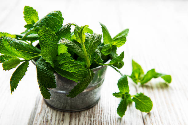 istock Fresh mint in bucket on a white woodwn table 1277965142