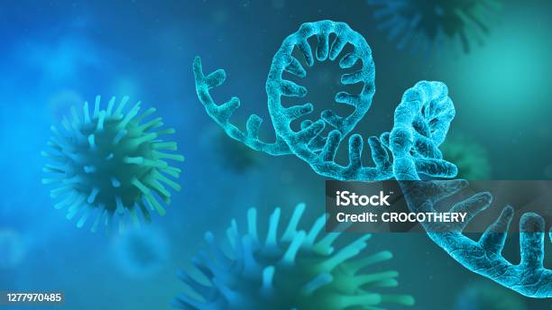 Rna Coronavirus Microscopic View Of Infectious Sarscov2 Virus Cells Stock Photo - Download Image Now