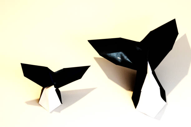 istock Paper whale tails on a white wall - home decoration 1277972069