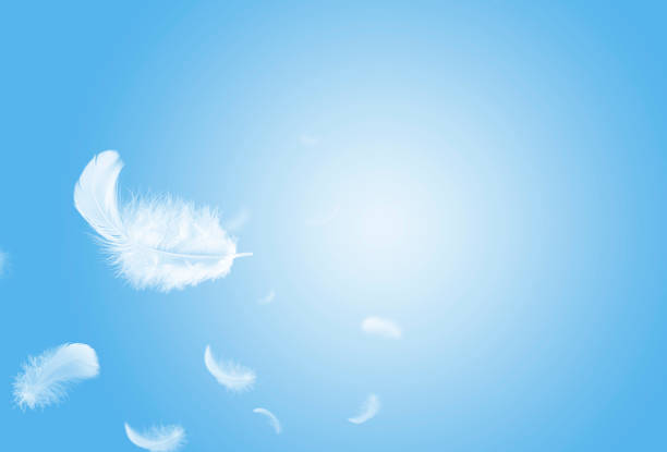 istock Soft light fluffy a white feathers falling down in the sky. Feather abstract freedom concept. 1277975473