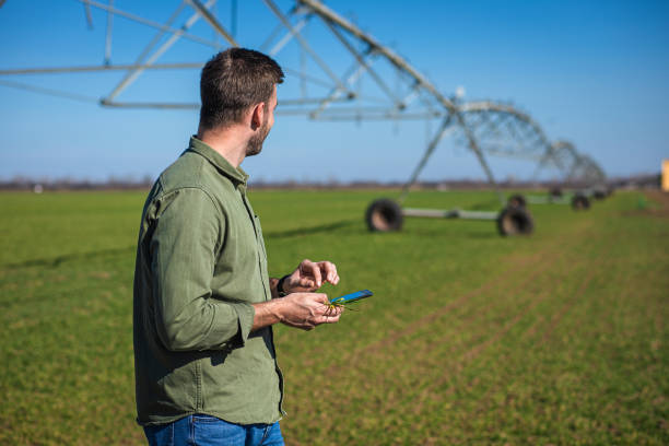 istock Young farmer standing in wheat field and setup irrigation system on tablet. 1277984534