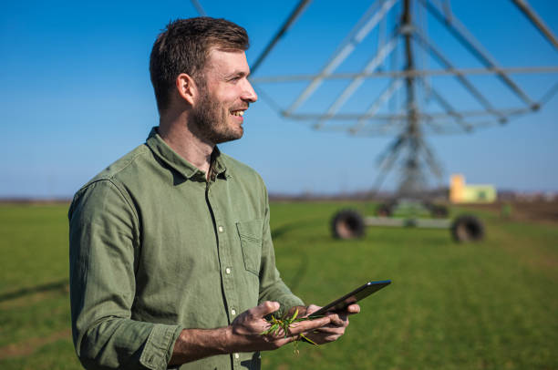istock Young farmer standing in wheat field and setup irrigation system on tablet. 1277984964