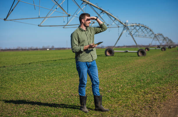 istock Young farmer standing in wheat field and setup irrigation system on tablet. 1277984965