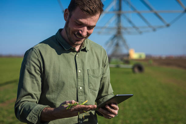 istock Young farmer standing in wheat field and setup irrigation system on tablet. 1277985014