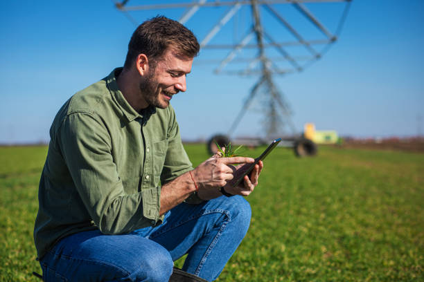 istock Young farmer standing in wheat field and setup irrigation system on tablet. 1277985033