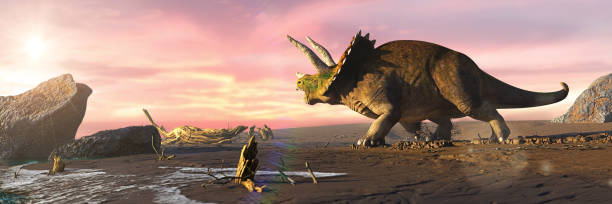 istock Triceratops horridus dinosaur on the beach 1277988203