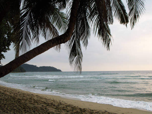 istock Koh Chang Island, Thailand 1277988978