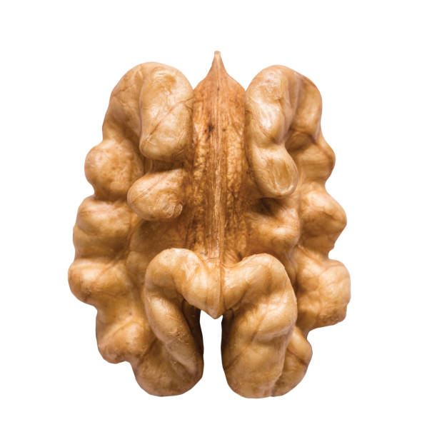 Unshelled walnut isolated on white background