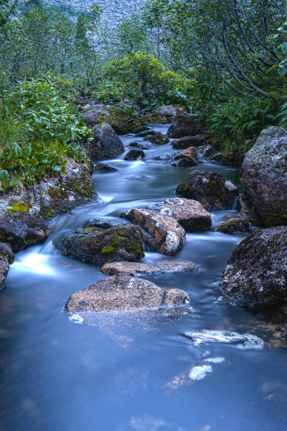 istock Taiga. Siberia. Mountain stream. Photograph with long shutter speed 1277992388