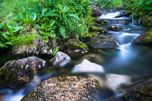 istock Taiga. Siberia. Mountain stream. Photograph with long shutter speed 1277992398