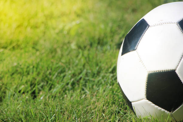 istock Typical soccer ball on the grass, outdoors on the stadium field. 1277993286