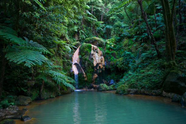Rain forest waterfall and natural thermal pool stock photo