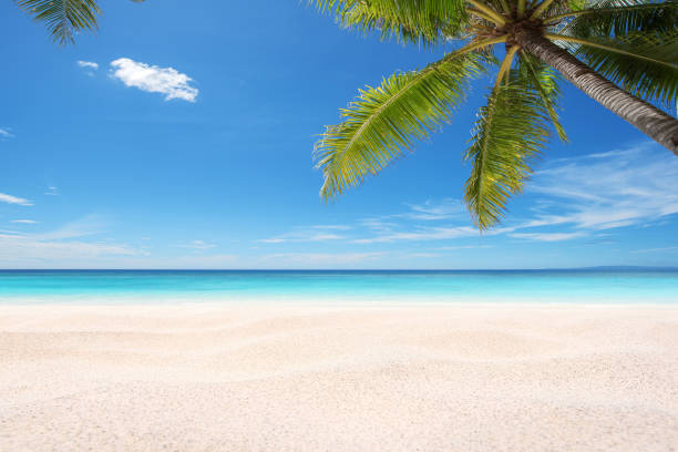 トロピカルパラダイスビーチ夏のシーン - sky yellow seascape summer resort ストックフォトと画像