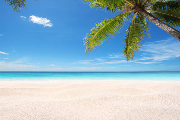 istock Tropical paradise beach summer scene 1278002408
