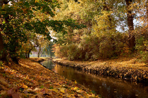 istock River in autumn golden park. 1278003407