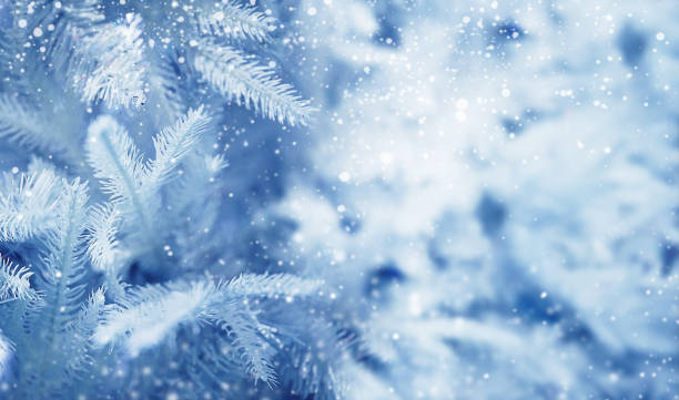 istock Christmas background, festive bright background to insert an image. 1278005459