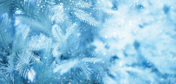 istock Christmas background, festive bright background to insert an image. 1278005462