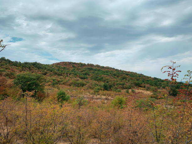 istock Autumn colors and cloudy sky over hills 1278005663