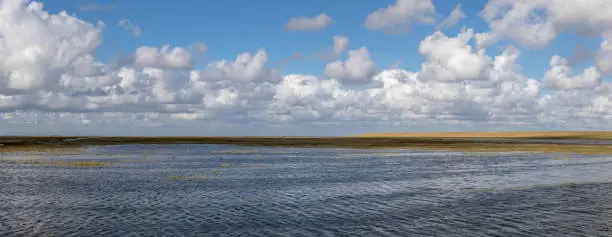 Salt marsh in front of Westerhever at high tide