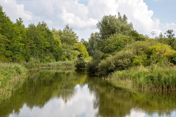 istock Watercourse in the Katinger Watt 1278015333