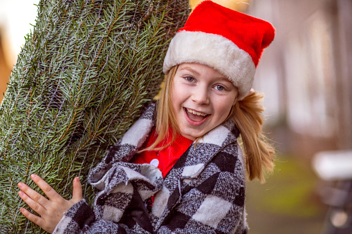 Beautiful blonde young girl carrying a christmas tree home