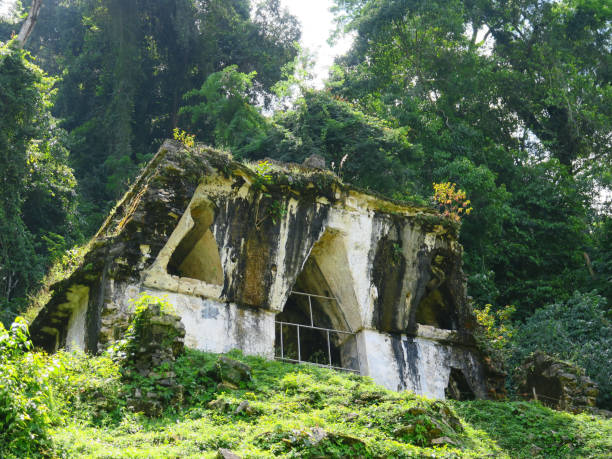 istock The Mayan Temple in Palenque 1278016499