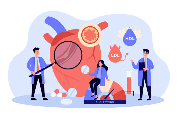 Doctors examining heart of patient Doctors examining heart of patient suffering from high cholesterol, blood pressure and cardiovascular system disease. Flat vector illustration for health care, anatomy, heart attack risk concept cholesterol stock illustrations