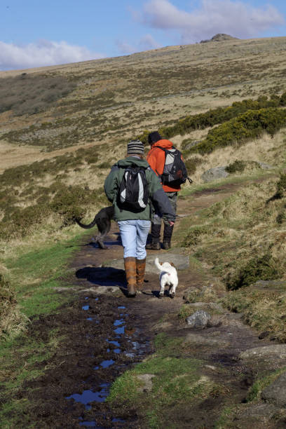 Hiking on Dartmoor Devon England. Man and woman on a walking trail in the West Dart valley near Wistman's wood. They are dressed in full hiking gear with rucksacks and have a dog with them. Blue sky life stile stock pictures, royalty-free photos & images