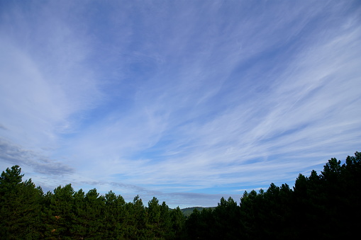 Sky above the forest.